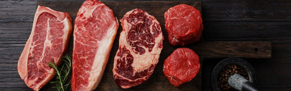 Carnivore FAQS