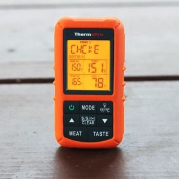single ThermoPro TP20