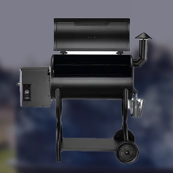 Z Grills 450B