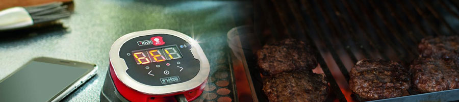 Thermometer and meat