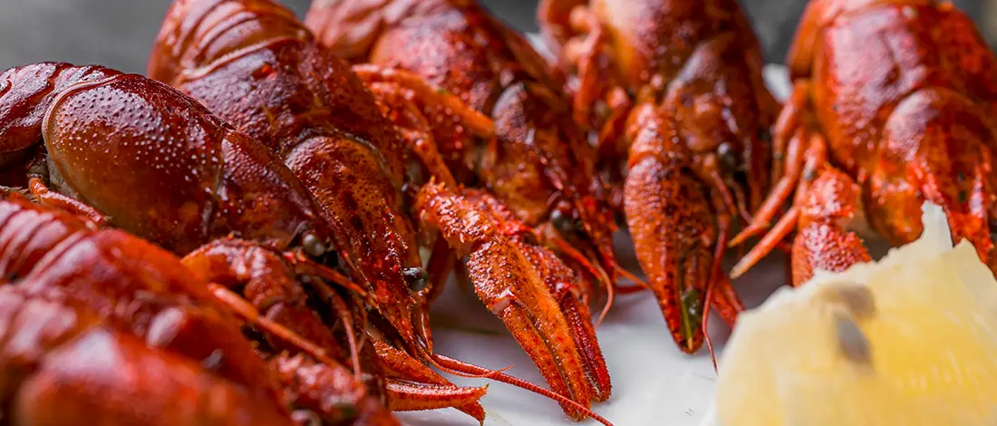 A line of seafood lobsters
