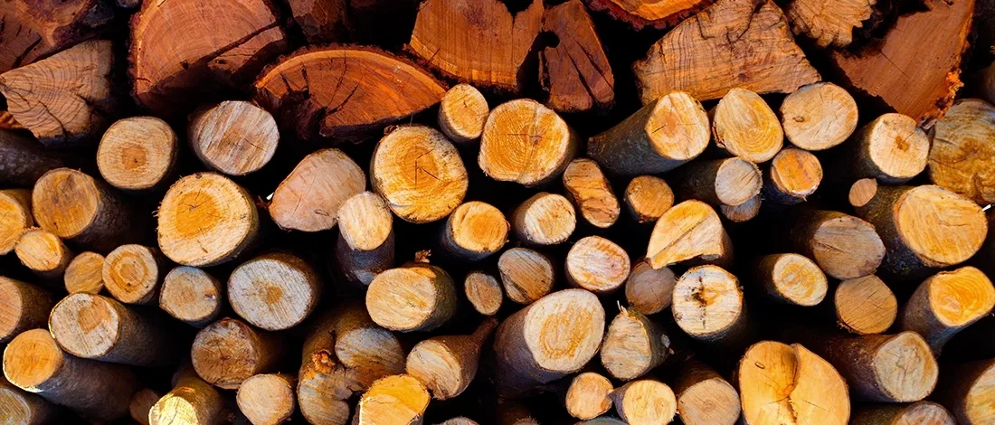 Stacked wood logs used for fire