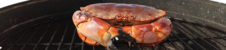 A small crab on grill