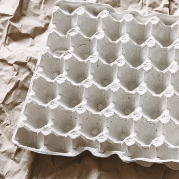 Egg carton