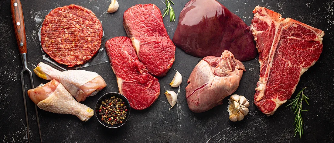 A top view image of different kinds of meat for carnivore diet