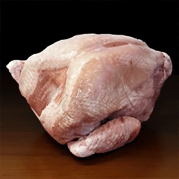 A partially frozen turkey with a dark background