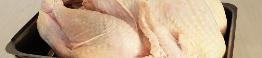 A fresh turkey on a tray
