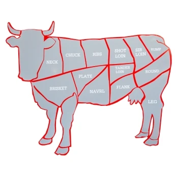 A cow with assigned meat cuts, such as Chuck Steak vs Flank Steak