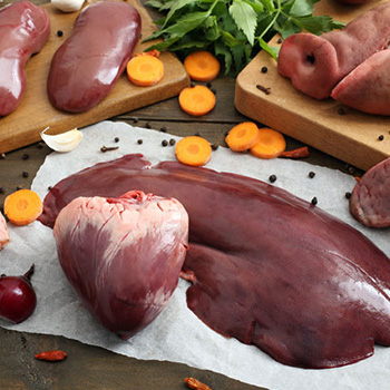 organ meat on carnivore diet