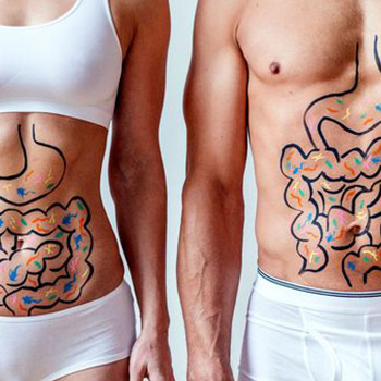 gut health