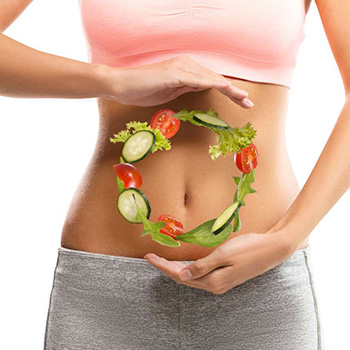 plant-based stomach representation