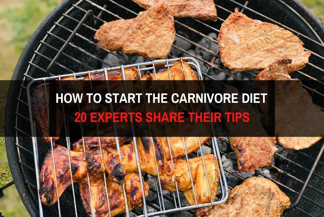 start carnivore diet