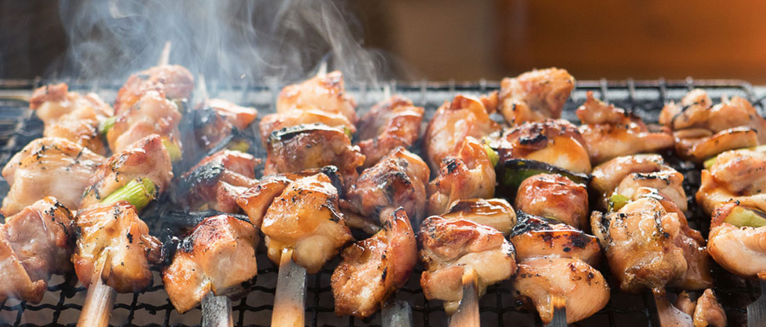 Guide to the Best Japanese Yakitori BBQ Grill