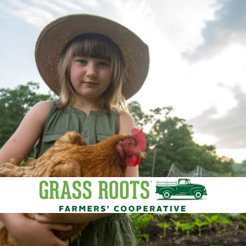 Pasture Raised Whole Turkey  Grass Roots Farmers' Cooperative