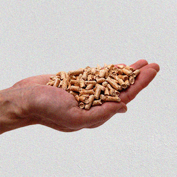 Pellets on a hand