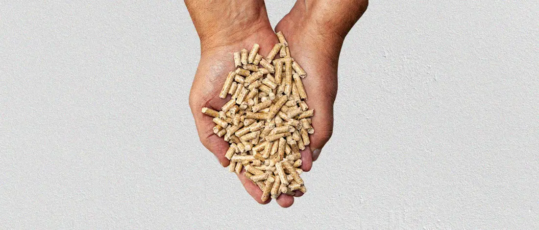 Wood pellets for smokers on a hand
