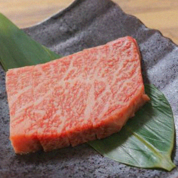 Fresh raw meat on top of a leaf