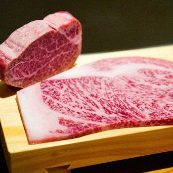 A wagyu meat full of marbling