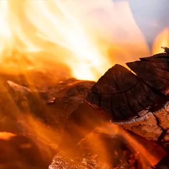 charcoal wood getting burned in fire