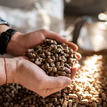 A person's hands filled with pellet wood