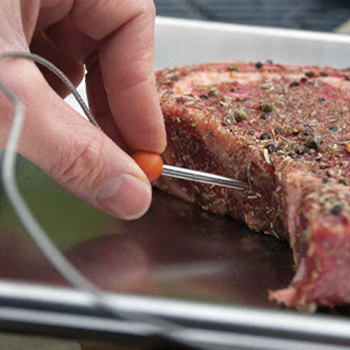 Close up image of a person putting the digital thermometer inside the meat