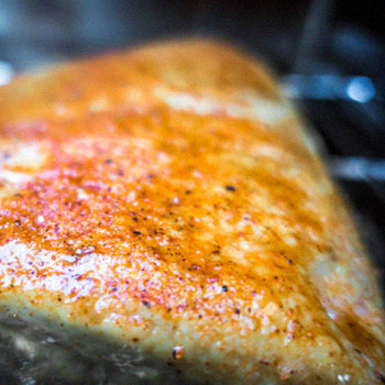 Brisket inside an electric smoker close up