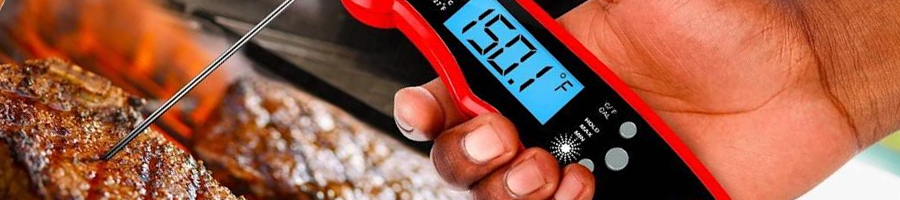 A person using a digital thermometer on a meat