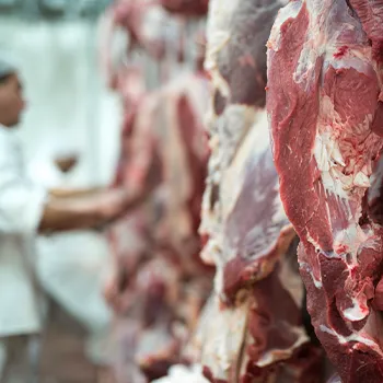 A hanging meat on a freezer room