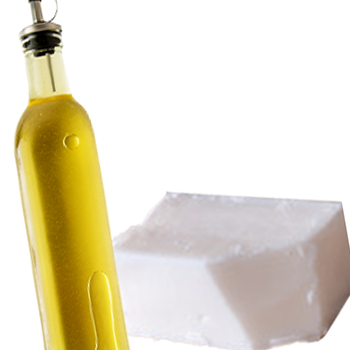 A tallow used as an alternate for oil
