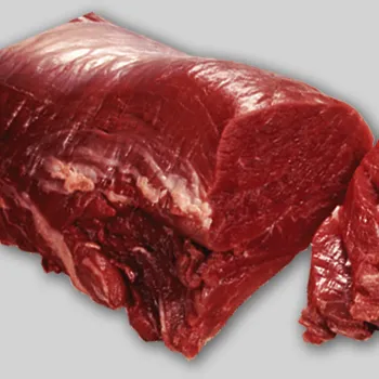 Raw tenderloin steak with plain background