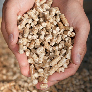 Hand full of wood pellets