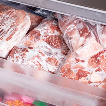 fridge with frozen meat