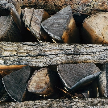 Chopped oak woods close up image