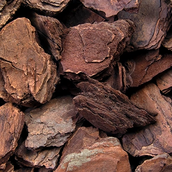 Close up image of wood chips