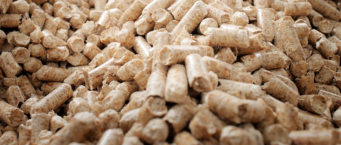 Scattered wood pellets inside a container