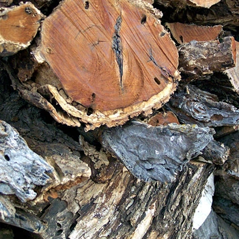 Mesquite wood logs stacked