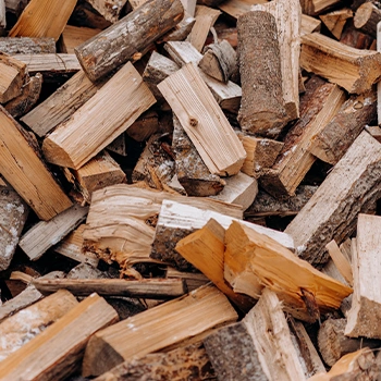 Wood pecan logs chopped off