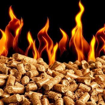 Burning wood pellets in black background