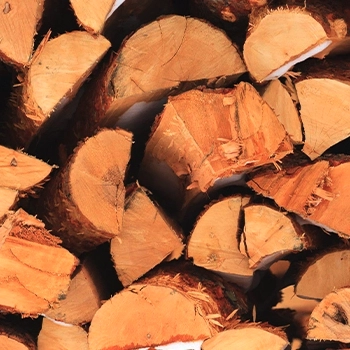 Wood logs chopped and stacked