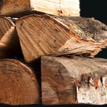 A chopped wood log in dark blue background