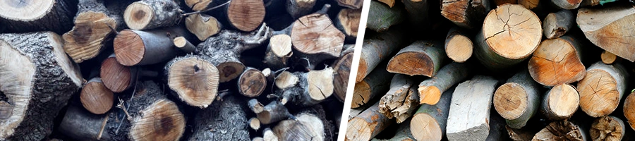 Mulberry woods and other wood chops