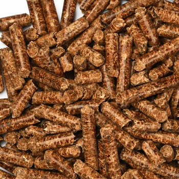 Close up image of a pellets