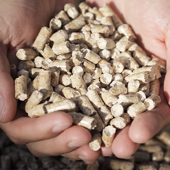 handful of wood pellets