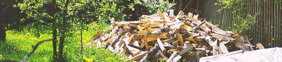 A stack of wood in the middle of the forest