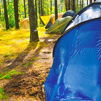 A tent inside a forest