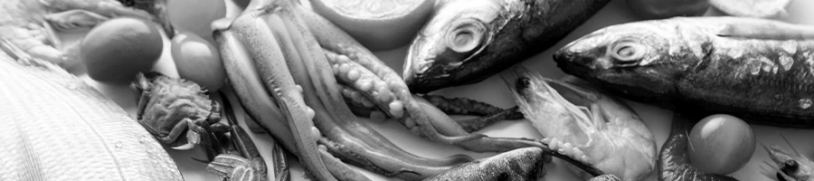 Black and white seafood images