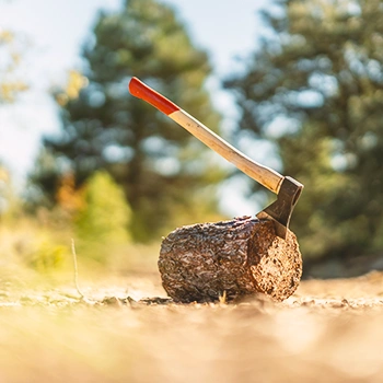 A wood chunk with an axe