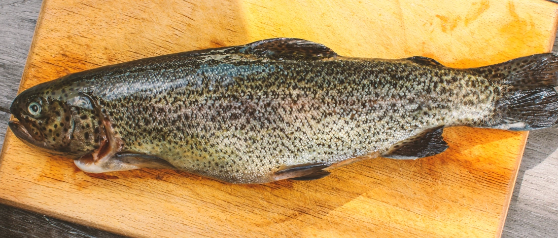 A fish on a wooden board
