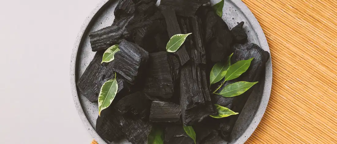 Charcoal on a plate with green leaves