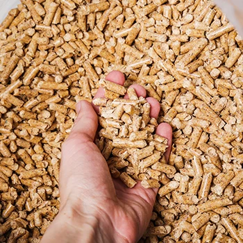 A person with a handful of wood pellets